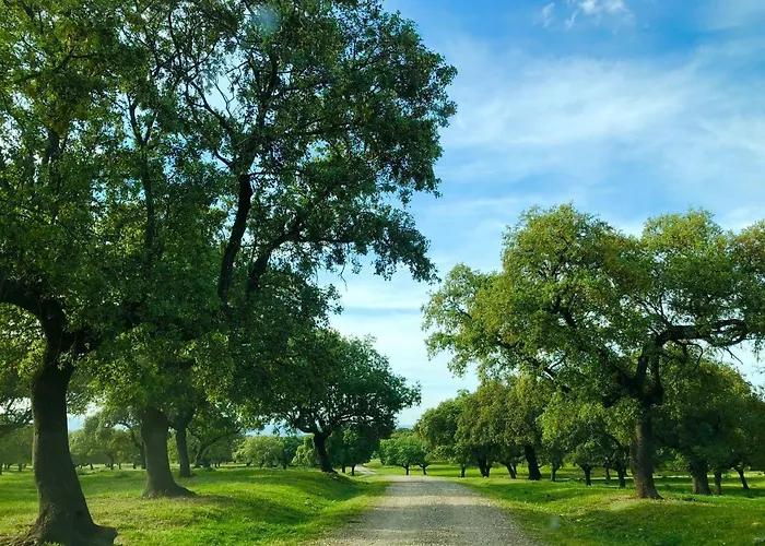 Chozos Flores De La Dehesa Calzadilla