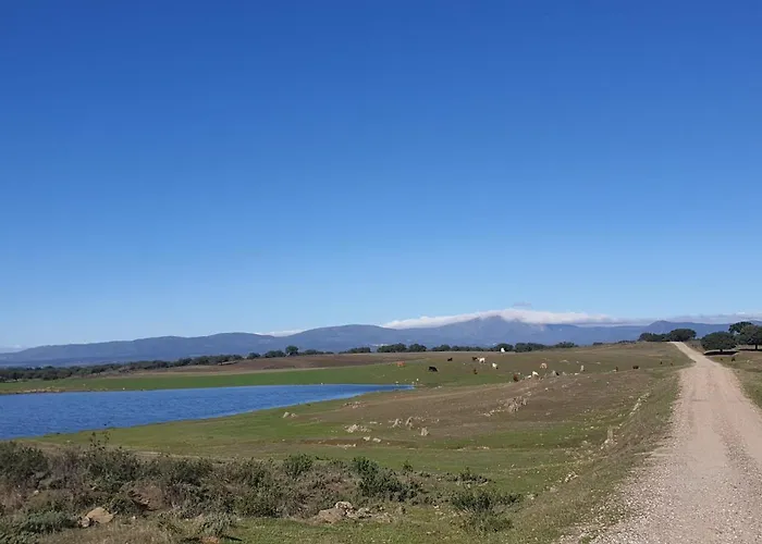 Chozos Flores De La Dehesa *